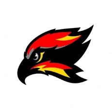 Columbus Skyhawks logo